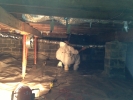 Water damage or Flood damage in crawl space_3